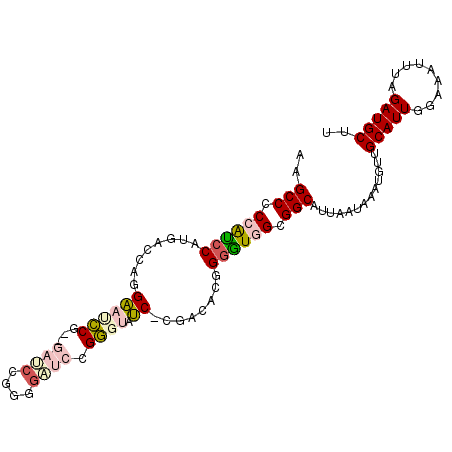 secondary structure