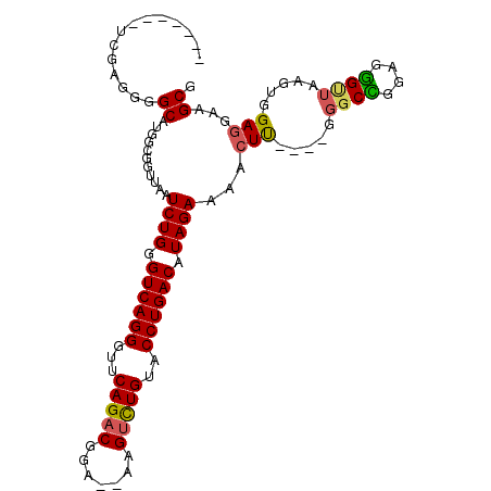 secondary structure