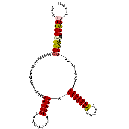 secondary structure
