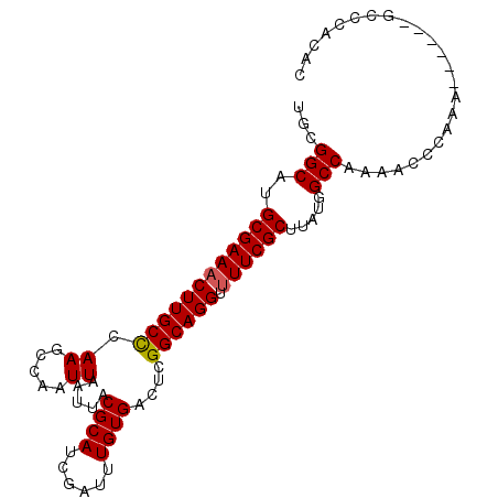 secondary structure