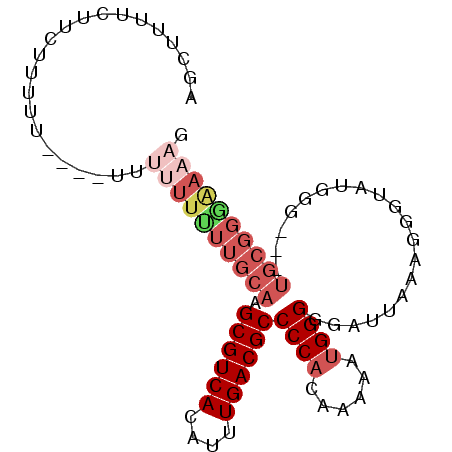 secondary structure
