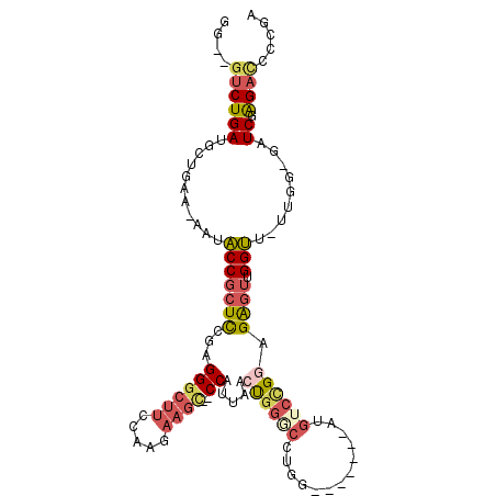 secondary structure