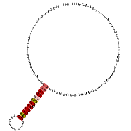 secondary structure