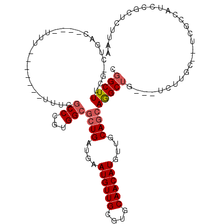 secondary structure