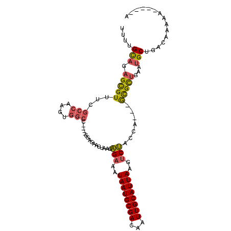 secondary structure