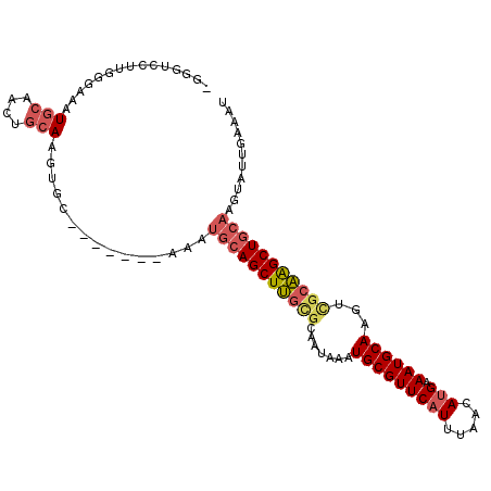 secondary structure