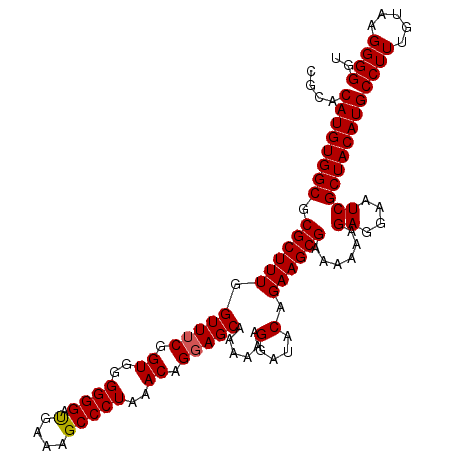 secondary structure