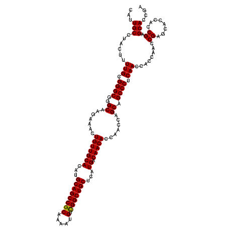 secondary structure