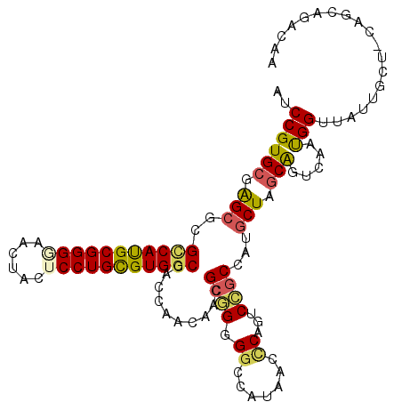 secondary structure