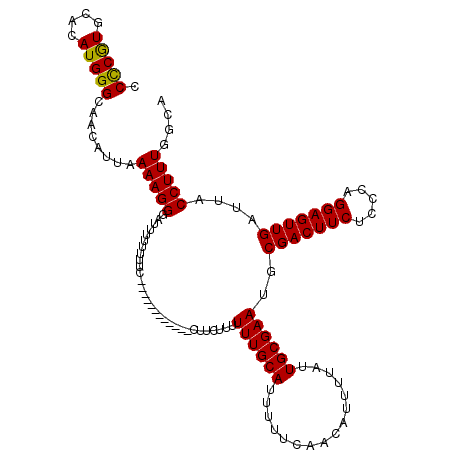 secondary structure