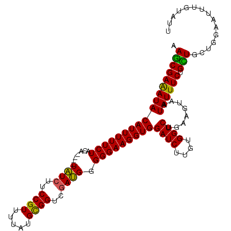 secondary structure