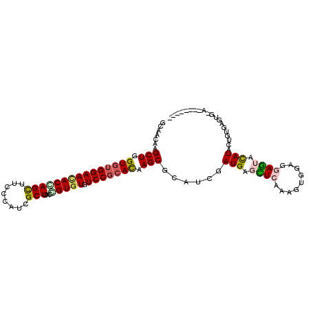secondary structure