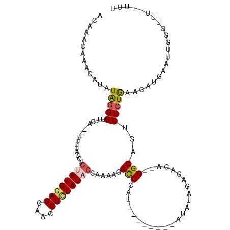 secondary structure