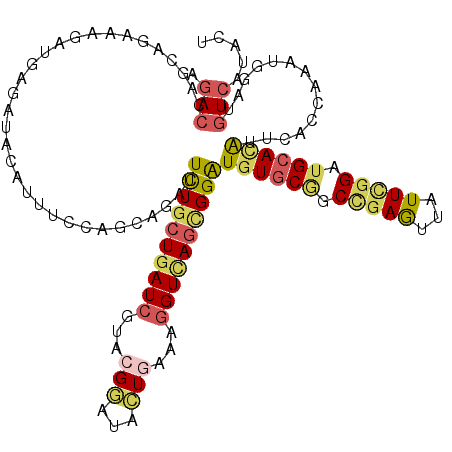 secondary structure