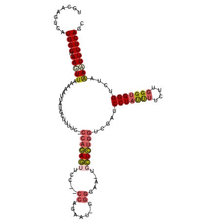 secondary structure