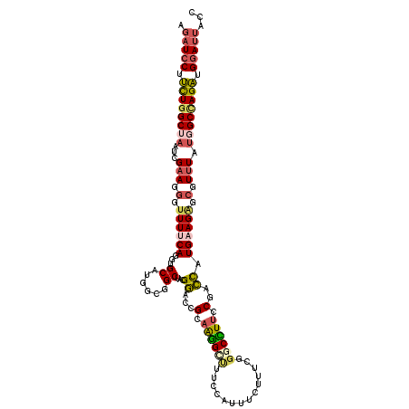 secondary structure