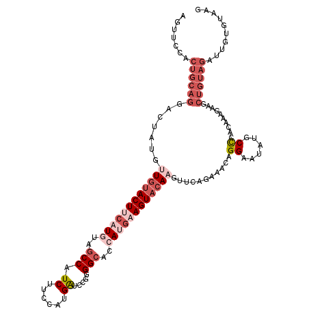 secondary structure
