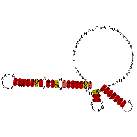 secondary structure