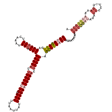 secondary structure