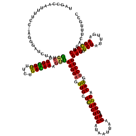 secondary structure