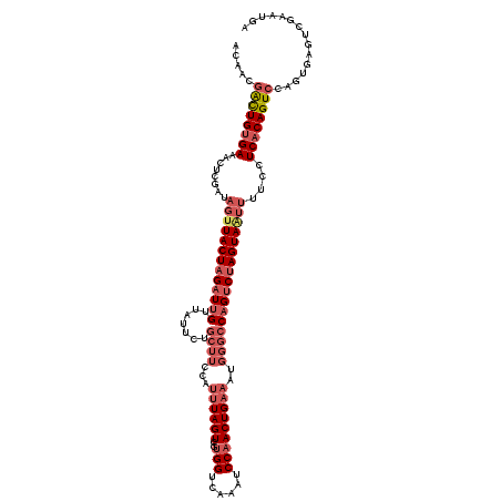 secondary structure