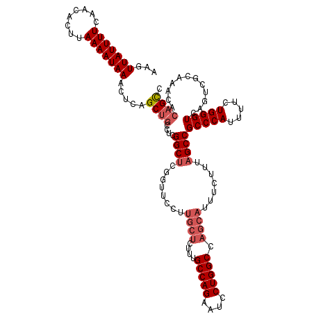 secondary structure