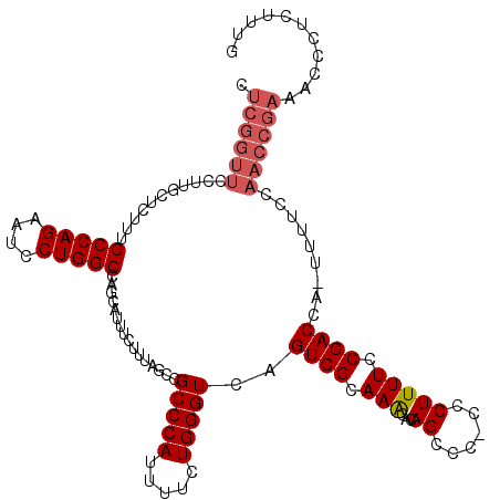secondary structure