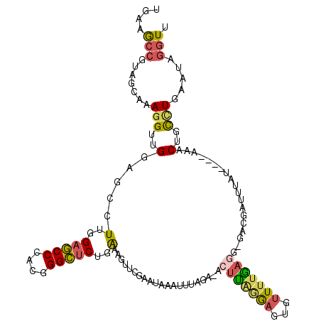 secondary structure