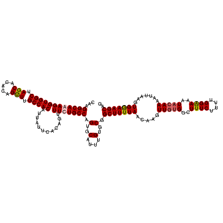 secondary structure