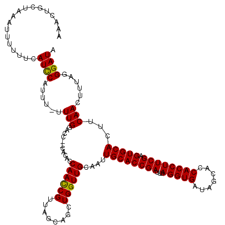 secondary structure