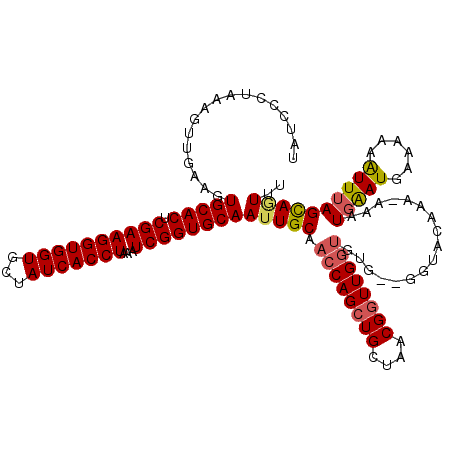 secondary structure