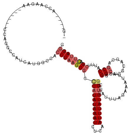secondary structure
