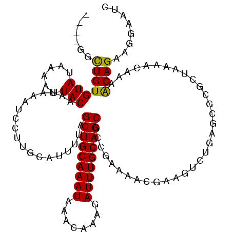 secondary structure