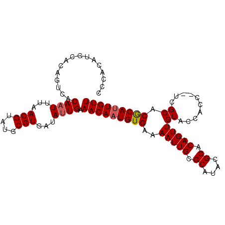 secondary structure