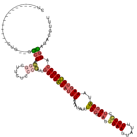 secondary structure