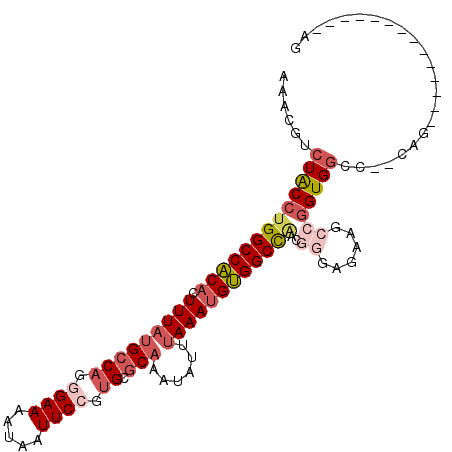 secondary structure