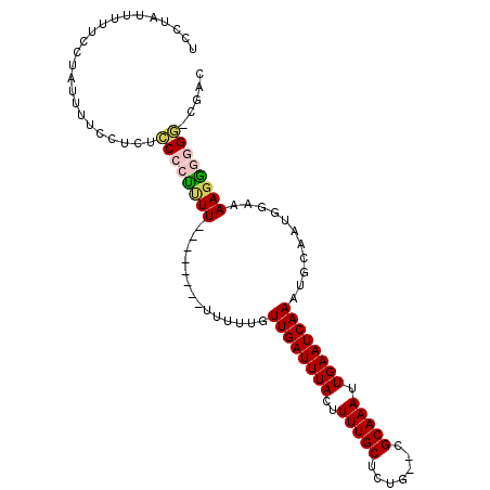 secondary structure