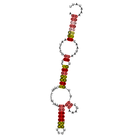 secondary structure