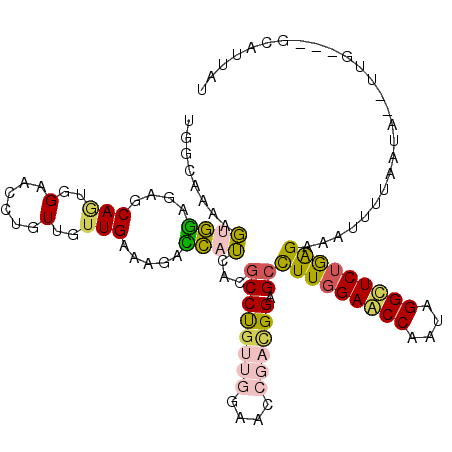 secondary structure