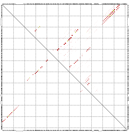 dotplot