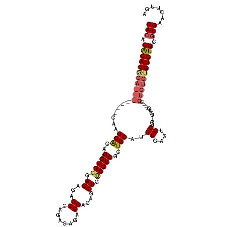 secondary structure