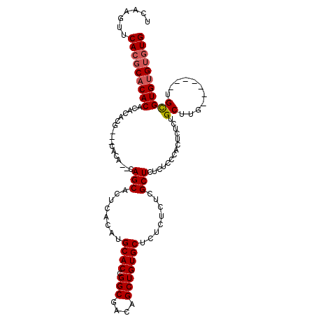 secondary structure