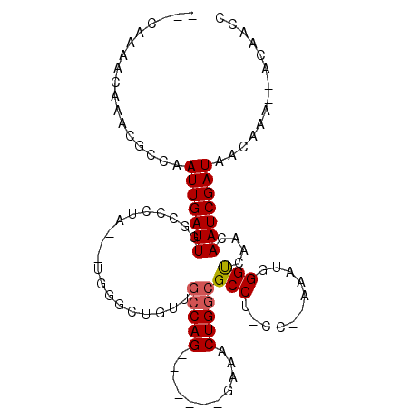 secondary structure