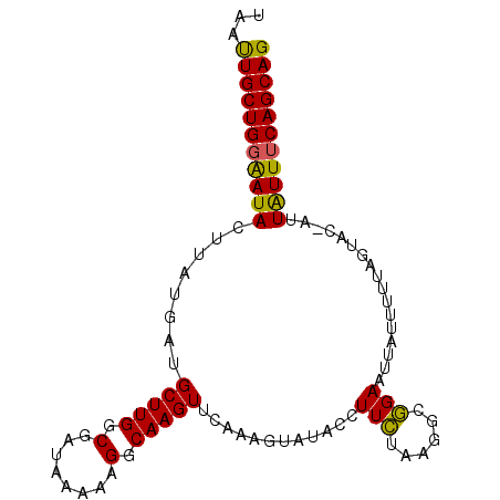 secondary structure