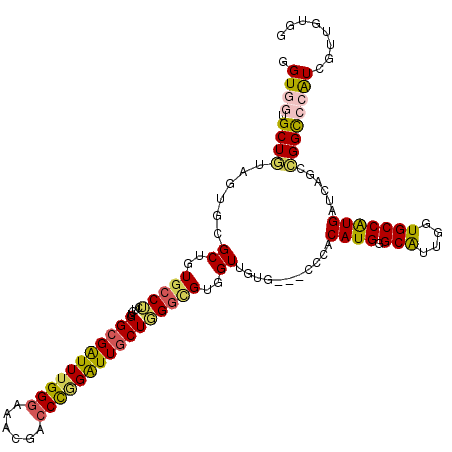 secondary structure