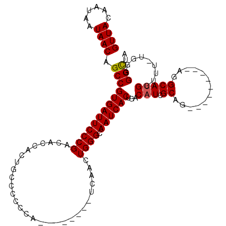 secondary structure