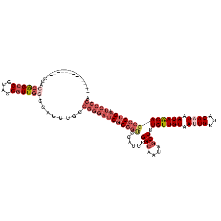 secondary structure