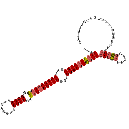 secondary structure