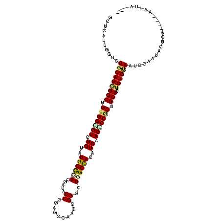 secondary structure