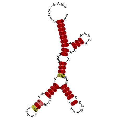 secondary structure